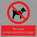 no-dogs-except-assistance-dogs~